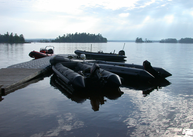 Zodiacs